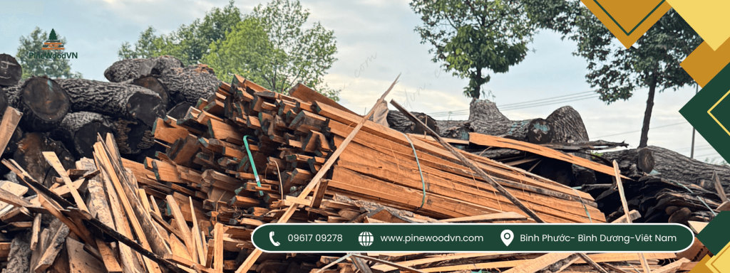 gỗ thông pinewoodvn