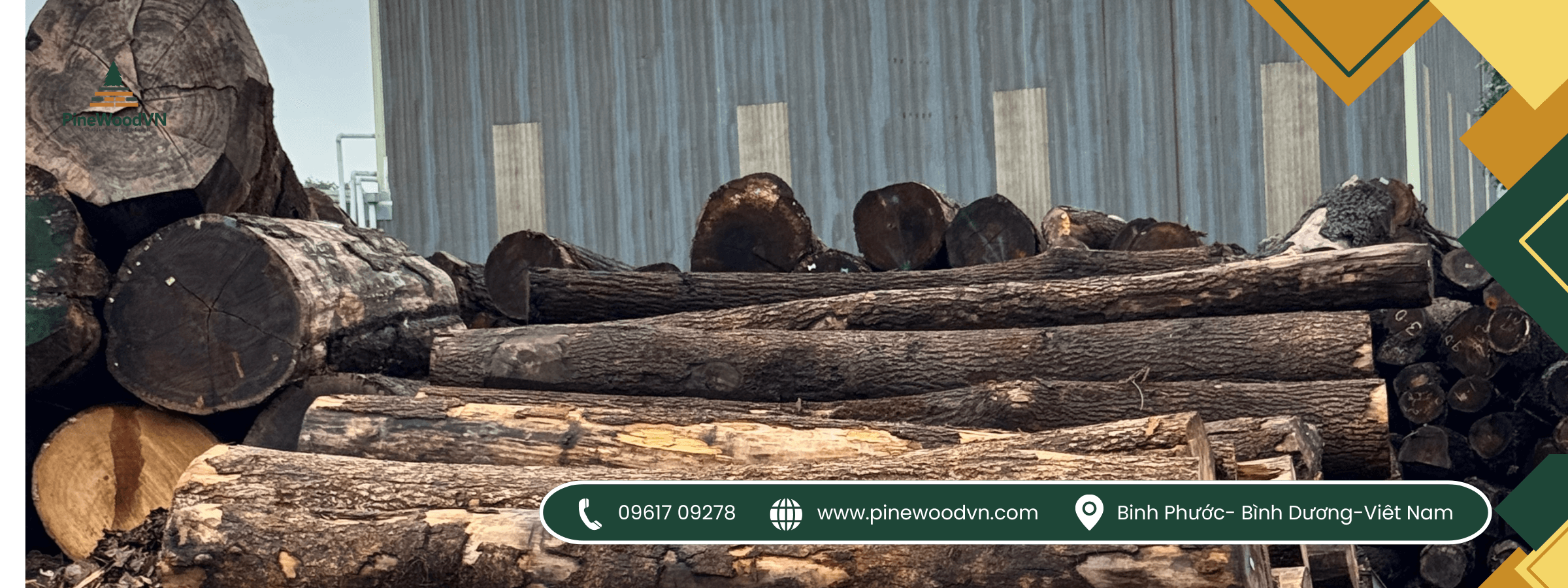 gỗ thông pinewoodvn