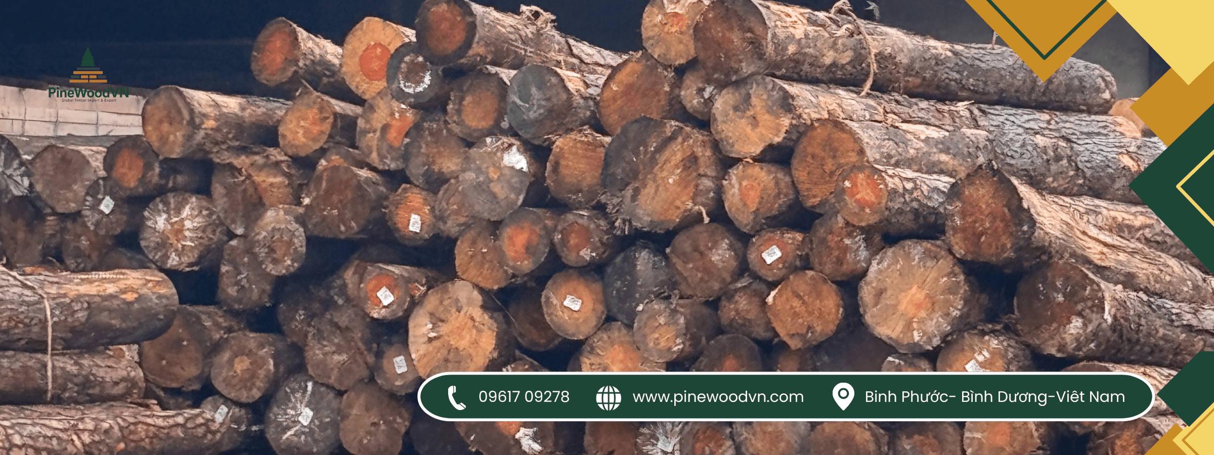 gỗ thông pinewoodvn